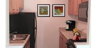 Harpers Forest Gallery 8