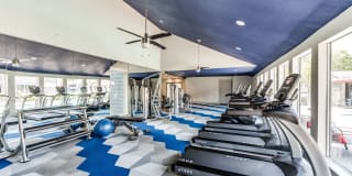 Warwick at Westchase Gallery 3