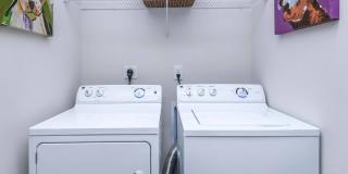 Windsor Central Arts Gallery 18