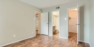 Rise Spring Pointe Gallery 125