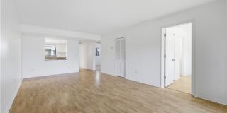 28161 Pine Haven Way Gallery 16