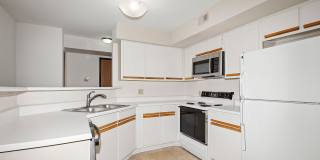 ReNew West Bloomington Gallery 19