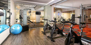 The Standard The Standard Gallery 35