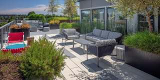 Solace Gallery 19
