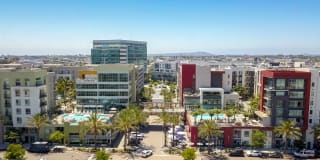 Vive on the Park Gallery 55