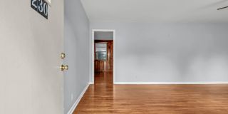 230 Downer Gallery 6