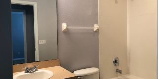 3 bedroom 2.5 bath-Move in JUNE-WATER,TRASH,SEWER & LAWN CARE INCLUDED! 2 story townhome with 1 car attached garage! 13492 Applerose Lane #22 Lynwood at Southmeadow Gallery 31