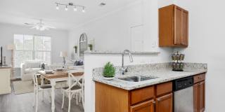 Greystone at Widewaters Gallery 70