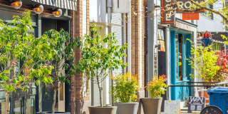 Rialto Court Apartments | MOVE-IN SPECIAL: ONE MONTH FREE RENT Gallery 6