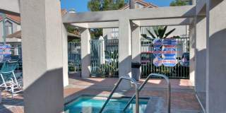 Palm Court Furnished Delight! Gallery 26