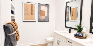 Jackson Park at the Hive Gallery 17