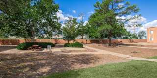 Garden Plaza Gallery 14