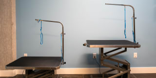 Hyde Square Gallery 50