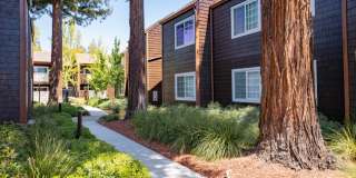Grove Apartments Gallery 41
