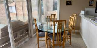 251 Lower Cliff Gallery 10