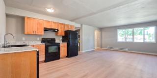 Updated 2 Bed 1 Bath in Fairwood Near Safeway Gallery 1