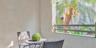 Jefferson at Marina del Rey Gallery 20