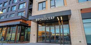 The Broadleaf Gallery 30