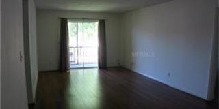 Great Brandon Location! Gallery 4