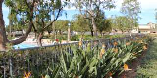 3 Bedroom Home for Rent in Irvine | 39 Whispering Pine Gallery 14