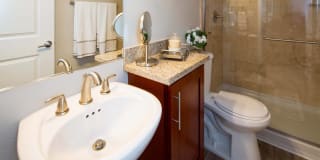 Vista Torre Gallery 27