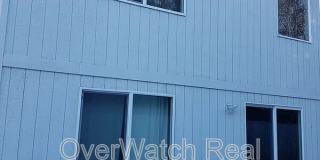 1719 S Heather Meadows Loop Gallery 24
