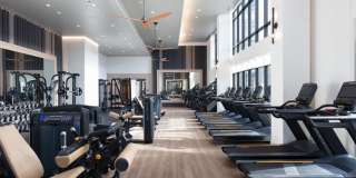 Avalon West Dublin Gallery 37