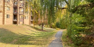 Avana Minnetonka Gallery 41