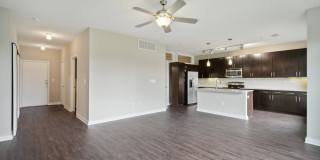 COLE COLE Gallery 19