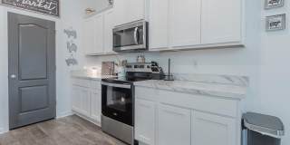 12634 CACAO TREE Trail Gallery 8
