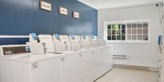 The Heights @Midtown Gallery 24