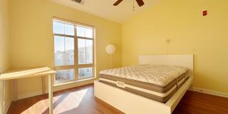 4 Repton Place - 4415 Gallery 6