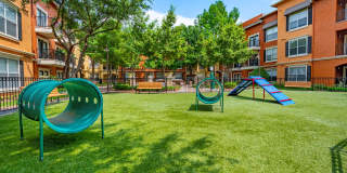 Allura Las Colinas Gallery 12