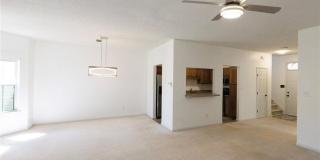 1355 Lake Drive Gallery 6