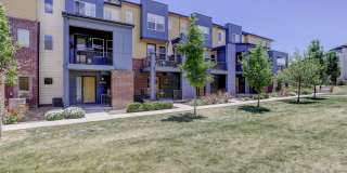 Two Bedroom, Two and a half bath! With Garage, Courtyard View, Stainless Appliances, Great Location! (Colony) Gallery 5