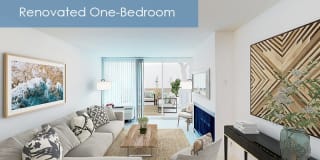 The Meadows - Newly Renovated Gallery 2