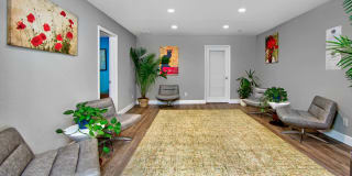 Verde Verde Gallery 20