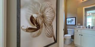 11624 Onyx Circle Gallery 4