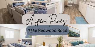 Aspen Pines Aspen Pines Gallery 1