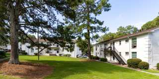 Hidden Colony Gallery 18