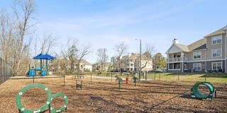 Mallard Creek Mallard Creek Gallery 17