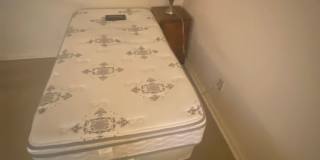 Graduate and Professional Gallery 140