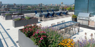 345 Harrison Avenue Gallery 3