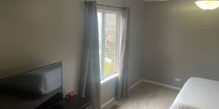1235 WHISPERING HILLS Drive Gallery 4