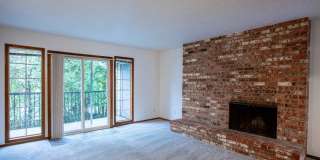 Fir Grove Gallery 4
