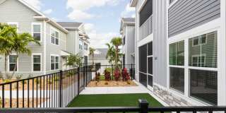 Palm Grove Gallery 42