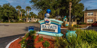 Sea Oats Sea Oats Gallery 61