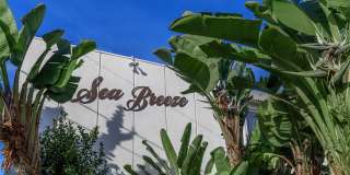 Sea Breeze Beach Apartments Sea Breeze Beach Apartments Gallery 2