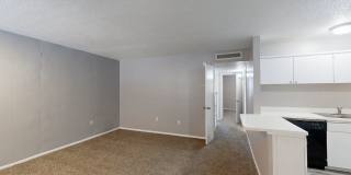 Agave Courtyard Gallery 8