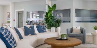 Waters Pointe Gallery 8